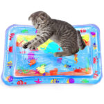 Safari subacvatic pentru pisici